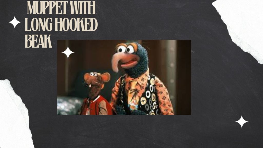 What is muppet with long hooked beak? step by step guide What is muppet with long hooked beak? step by step guide