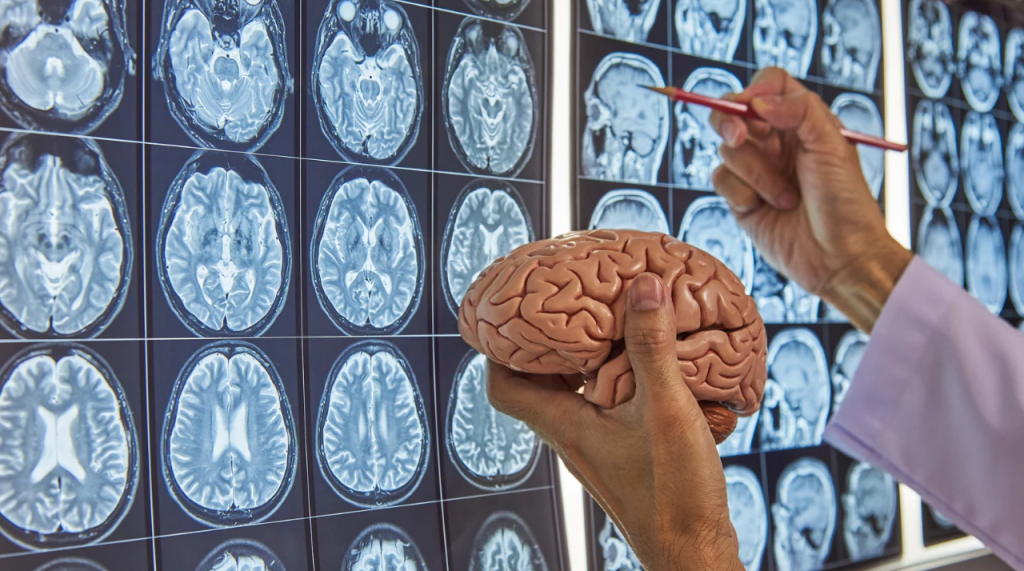 BrainPathJunction: The Crucial Intersection of Neural Pathways