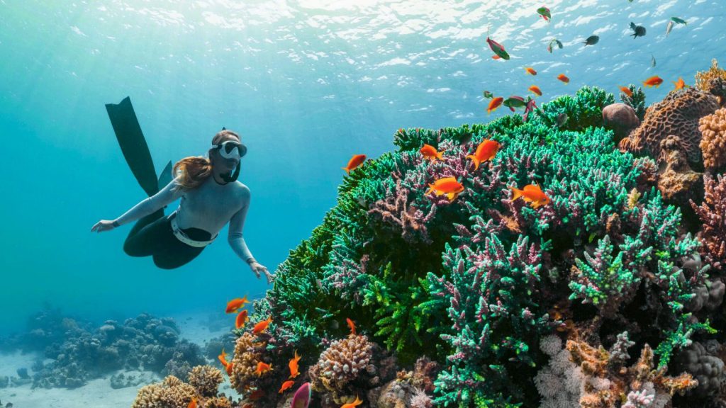 Pernithia Galnith Ecosystem