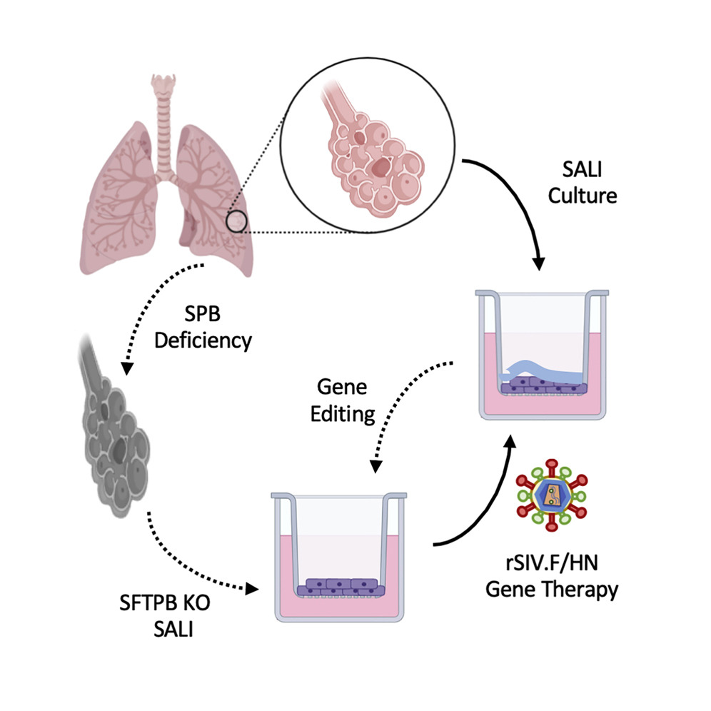 Innovative Tools Driving Respiratory Science Forward Innovative Tools Driving RespInnovative Tools Driving Respiratory Science Forwardiratory Science Forward