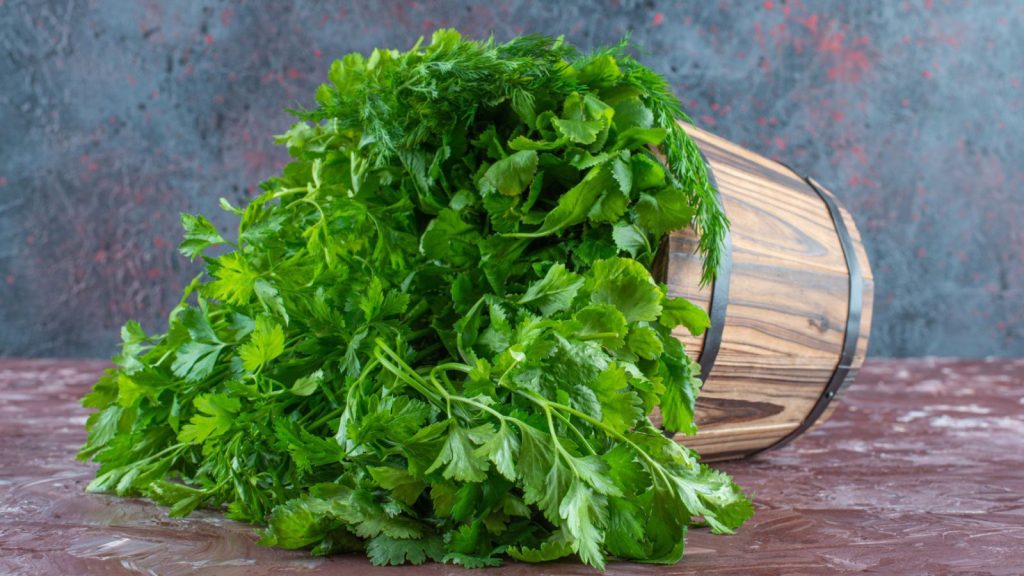 Pravi Celer? Exploring the True Essence of Wild Celery